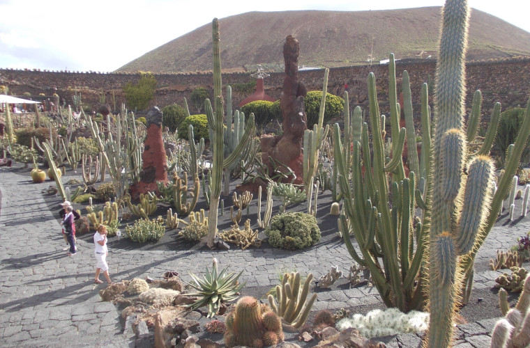 Lanzarote Jardin de Cactus